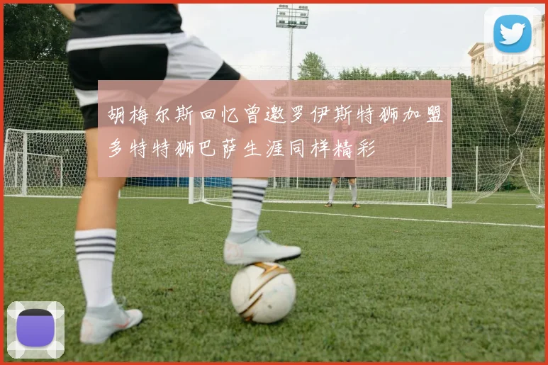胡梅尔斯回忆曾邀罗伊斯特狮加盟多特特狮巴萨生涯同样精彩