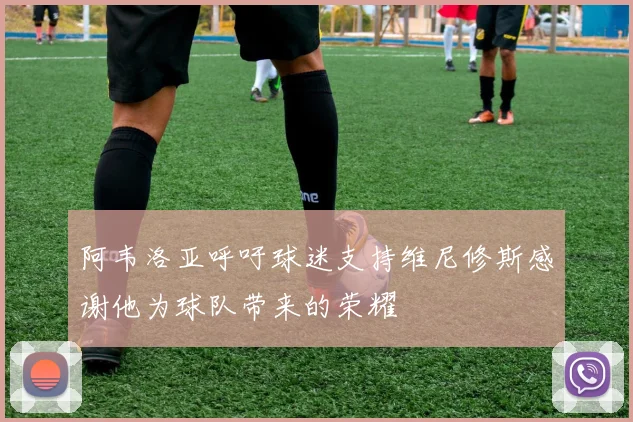 阿韦洛亚呼吁球迷支持维尼修斯感谢他为球队带来的荣耀