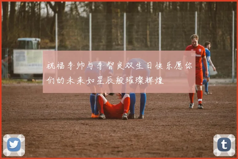 祝福李帅与李智良双生日快乐愿你们的未来如星辰般璀璨辉煌