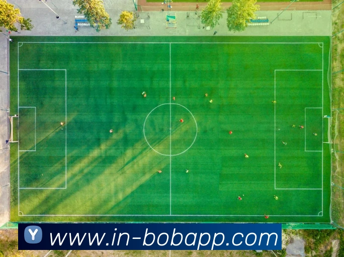 BOB体育平台生态图