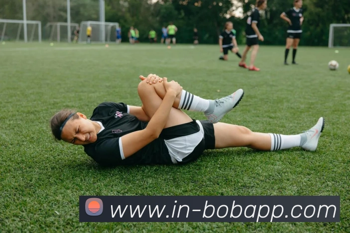 BOB体育APP 封面图